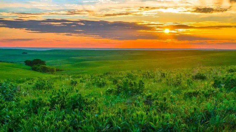 Golden sunset over the rolling green tallgrass prairie of the Flint Hills near Manhattan, Kansas